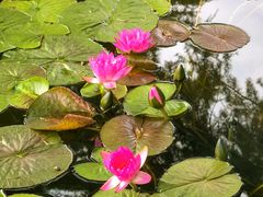 -国家植物园南园