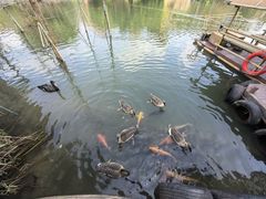 -长鹿旅游休博园