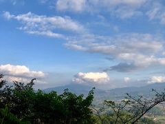 -常来老白莲鹅饭店(老城店)