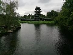 -桂湖森林公园