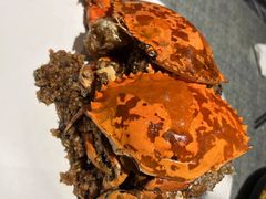 -隐食私房菜(渡口·光荣院南门·老街店)