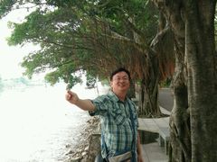 -大湾区中央湿地公园
