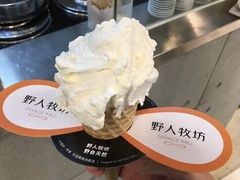 -野人先生现做冰淇淋(北京顺义祥云小镇店)