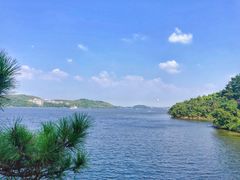 景点-天目湖山水园