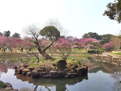 -无锡梅园公园