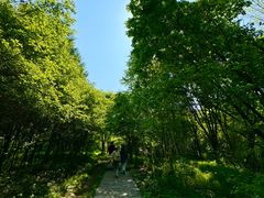 -帽儿山风景区