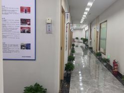 -碧莲盛·不剃发植发