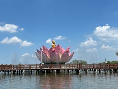 -白洋淀景区