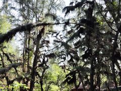 -北海金海湾红树林生态旅游区