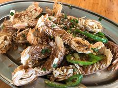 椒盐濑尿虾-红月湾海鲜饭店•沙滩海景(双月湾店)