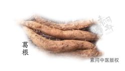 -雅曼妮spa美容养生