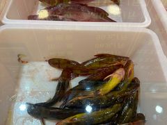 -小火炕铁锅炖鱼