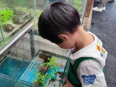 -灵龟之家百象馆(百象馆联合旗舰店)