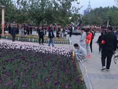 -长春公园(普阳街道)