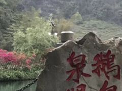 -靖西鹅泉风景区