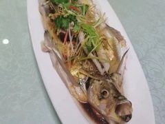 -掌勺人鱼馆(朝阳镇店)