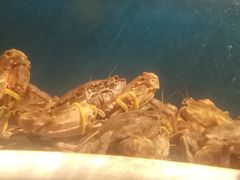 -华盛丰温州大排档(东三环南路店)