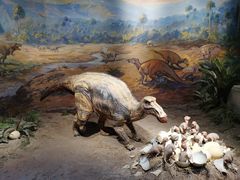 -自贡恐龙博物馆