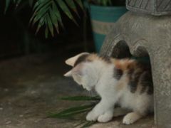 -行人小筑·茶馆(岑村火炉山分店)