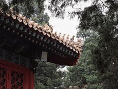 -故宫博物院(故宫)