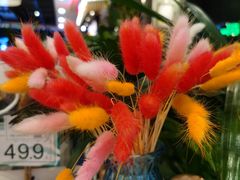 -凯德广场(学府店)