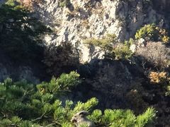 -大连天门山国家森林公园
