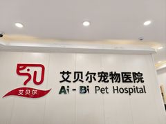 -艾贝尔宠物医院 ·中兽医·宠保定点(北门桥店)