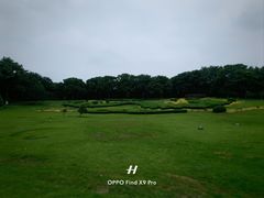 -宜兴龙背山森林公园