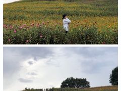 -长春世界雕塑园冰雪艺术天地