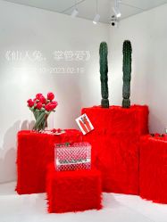 -帆拉斐婚纱摄影(春熙店)