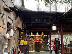 -青城甲(青城山店)