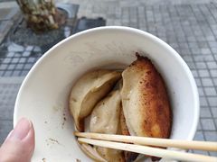 -洋洋锅贴