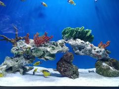 -海合安武汉极地海洋公园