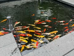 -广州白天鹅宾馆