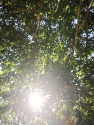 -瑜舍瑜伽连锁教室