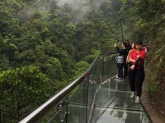 -九龙江国家森林公园