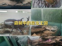 -万达广场(宜兴店)