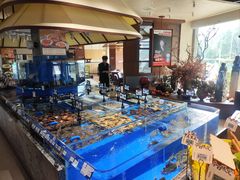 -鲜得莱渔港·小平岛海胆馆(七贤岭店)