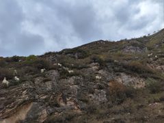 -蔚县茶山村
