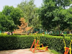 -莲花池公园