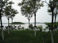 -天津东丽湖风景区