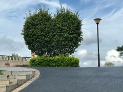 -东莞植物园