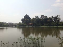 -云南民族村