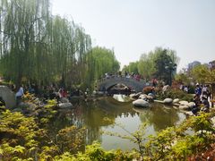 -西安青龙寺遗址景区
