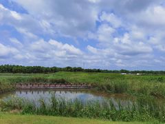 -春花秋色城市公园