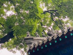 -保定直隶总督署博物馆