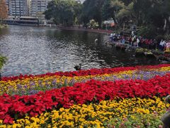 -荔湾湖公园