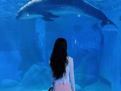 -福州罗源湾海洋世界旅游区