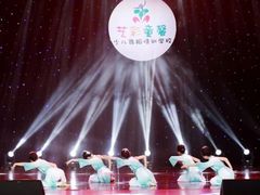 -艺彩童馨舞蹈培训学校(西湖道校区)