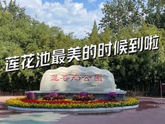 -莲花池公园